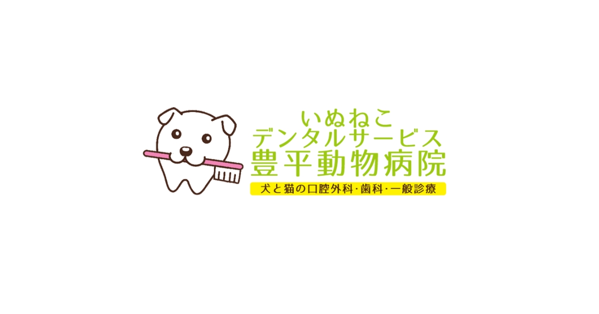 犬と猫の歯科診療　スケーリング、 抜歯　新品 ジェネラリストのための犬と猫の歯科診療 スケーリング・抜歯の